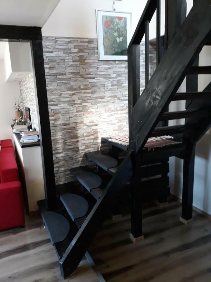 Apartament Laura ブラン エクステリア 写真